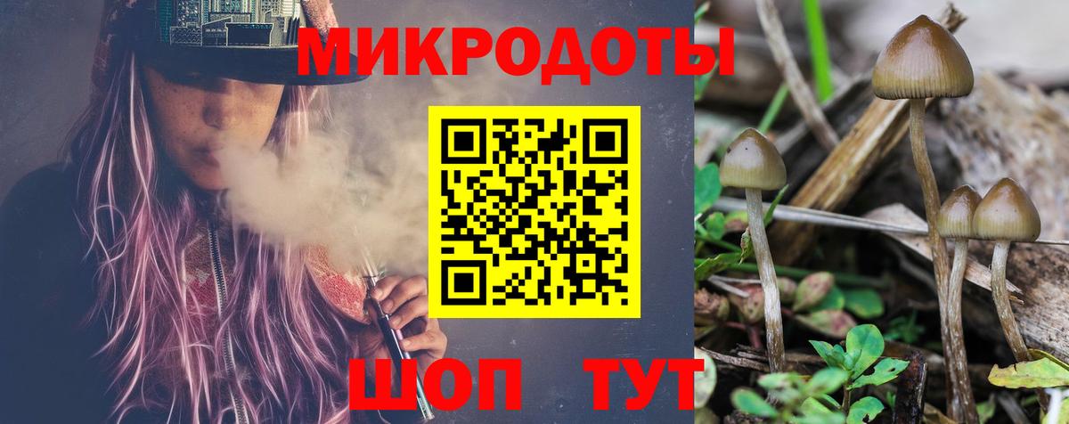 Галлюциногенные грибы мухоморы  Вход с VPN  наркошоп  Туапсе 